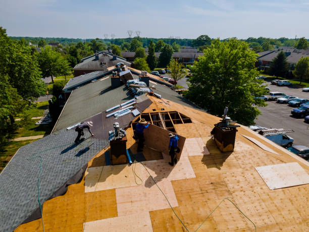 Best Flat Roof Repair Services  in Reedsville, WI