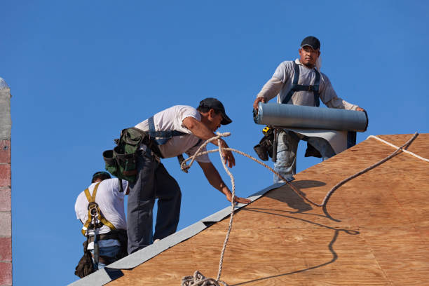 Best Roof Maintenance Services  in Reedsville, WI